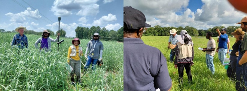 faculty and stakeholders in fields