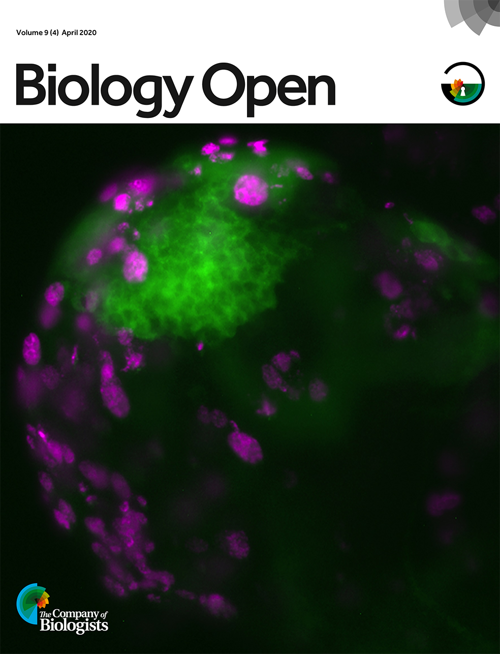 Biology Open Cover Volume 9 (4) April 2020