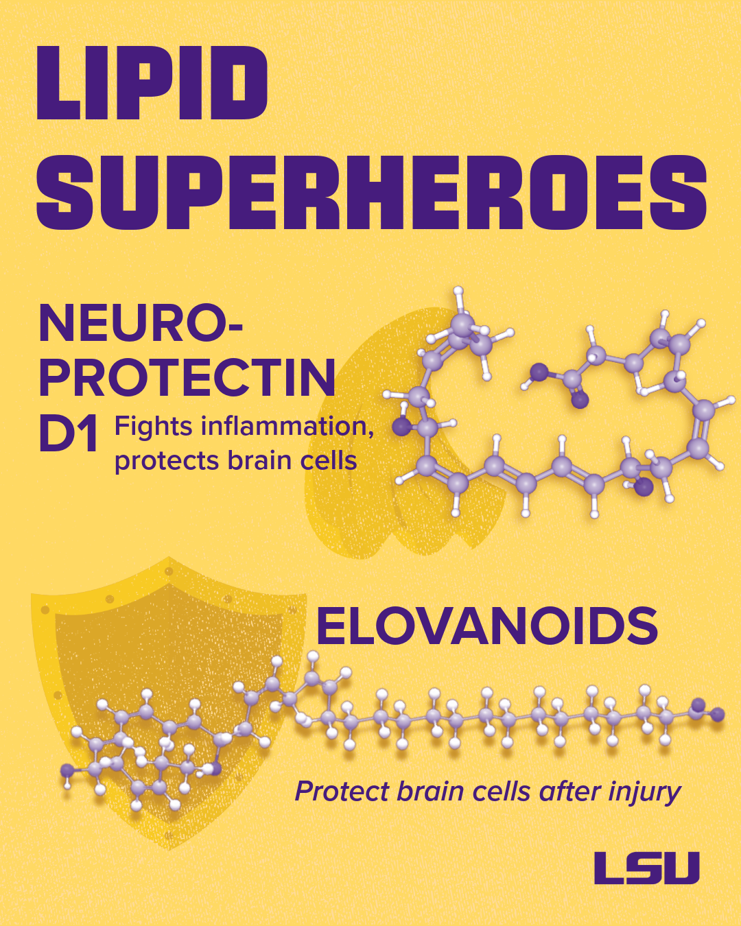 Lipid "superheroes" illustrated: Neuro-Protectin D1 fights inflammation and protects brain cells. Elvanoids protect brain cells after injury