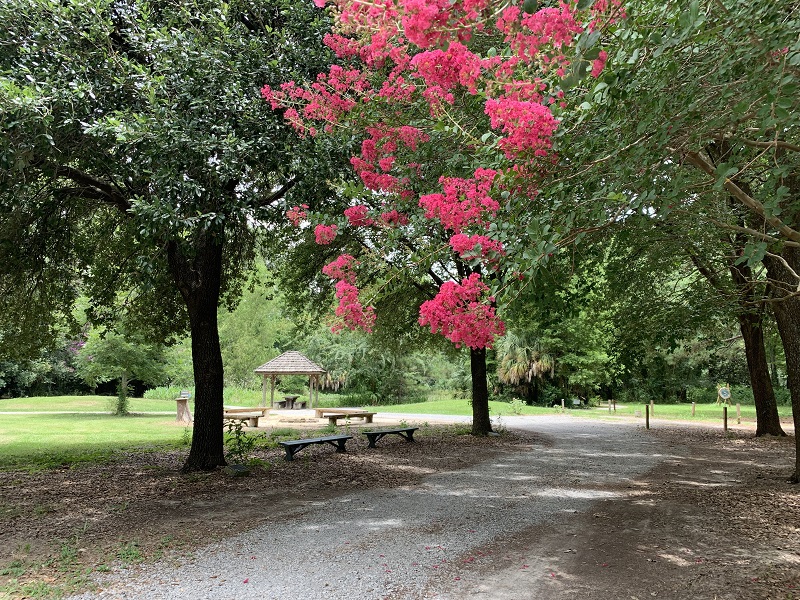 barton arboretum