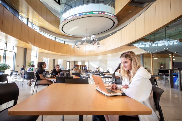 Femal student looks at laptop other students are in the background at tables. 