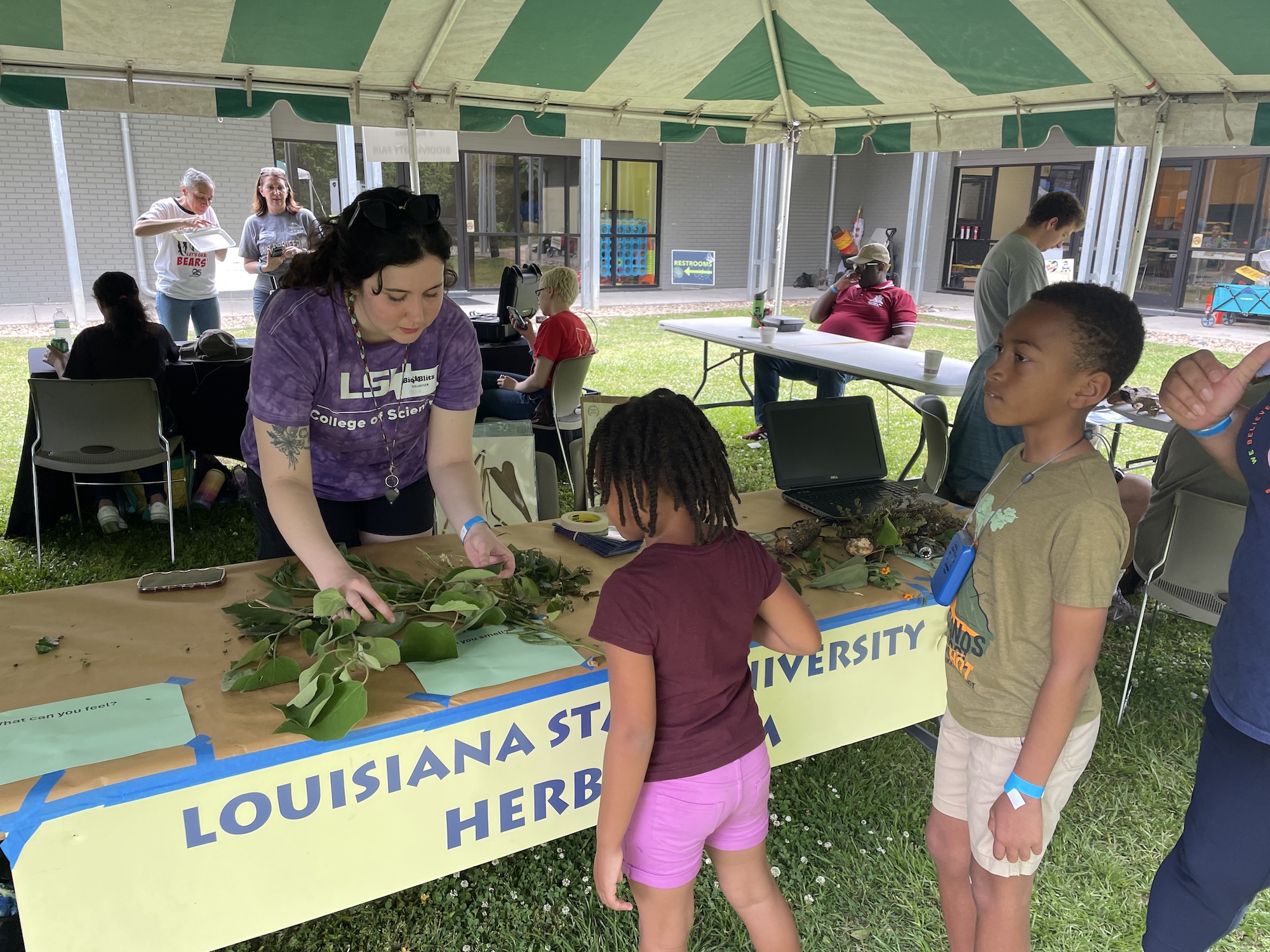 display table at Bioblitz with children