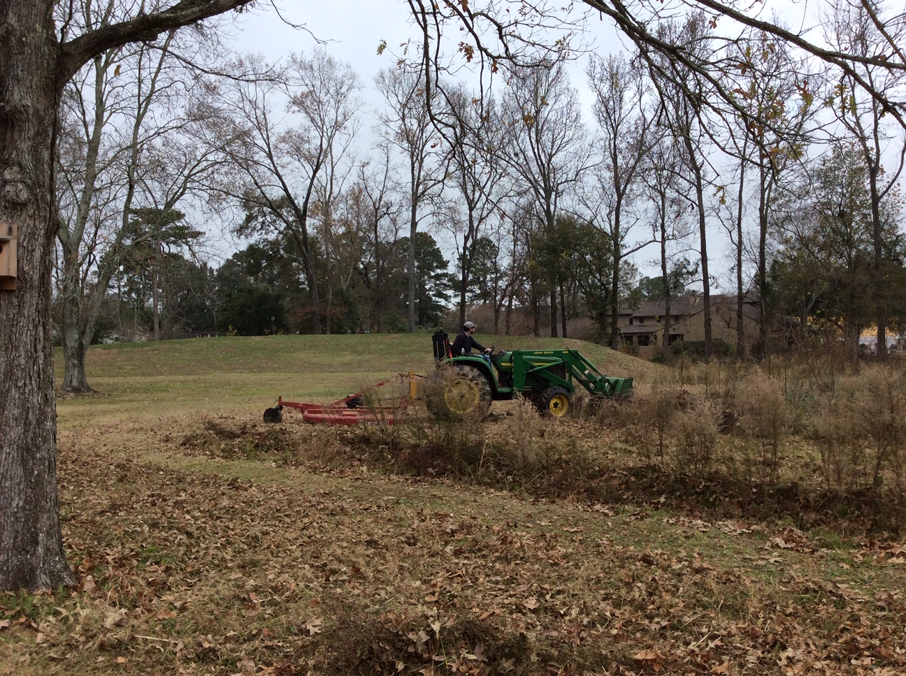 bush-hogging meadow