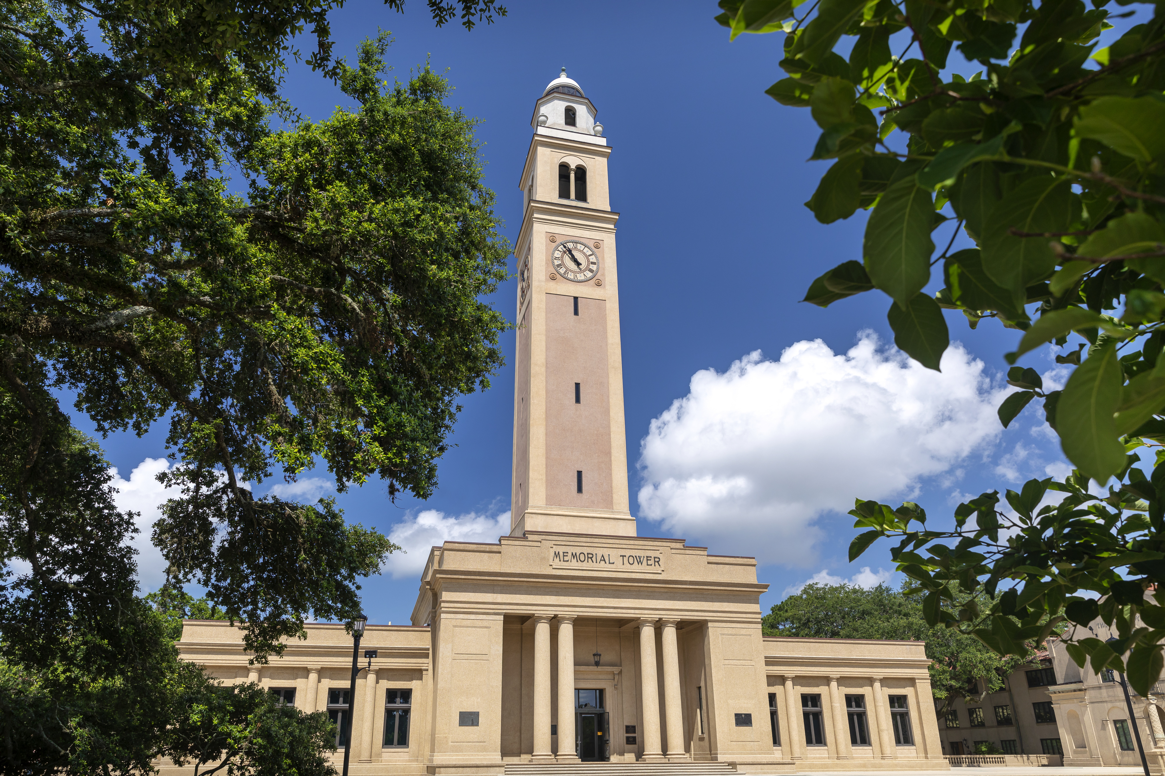 memorial tower through the trees