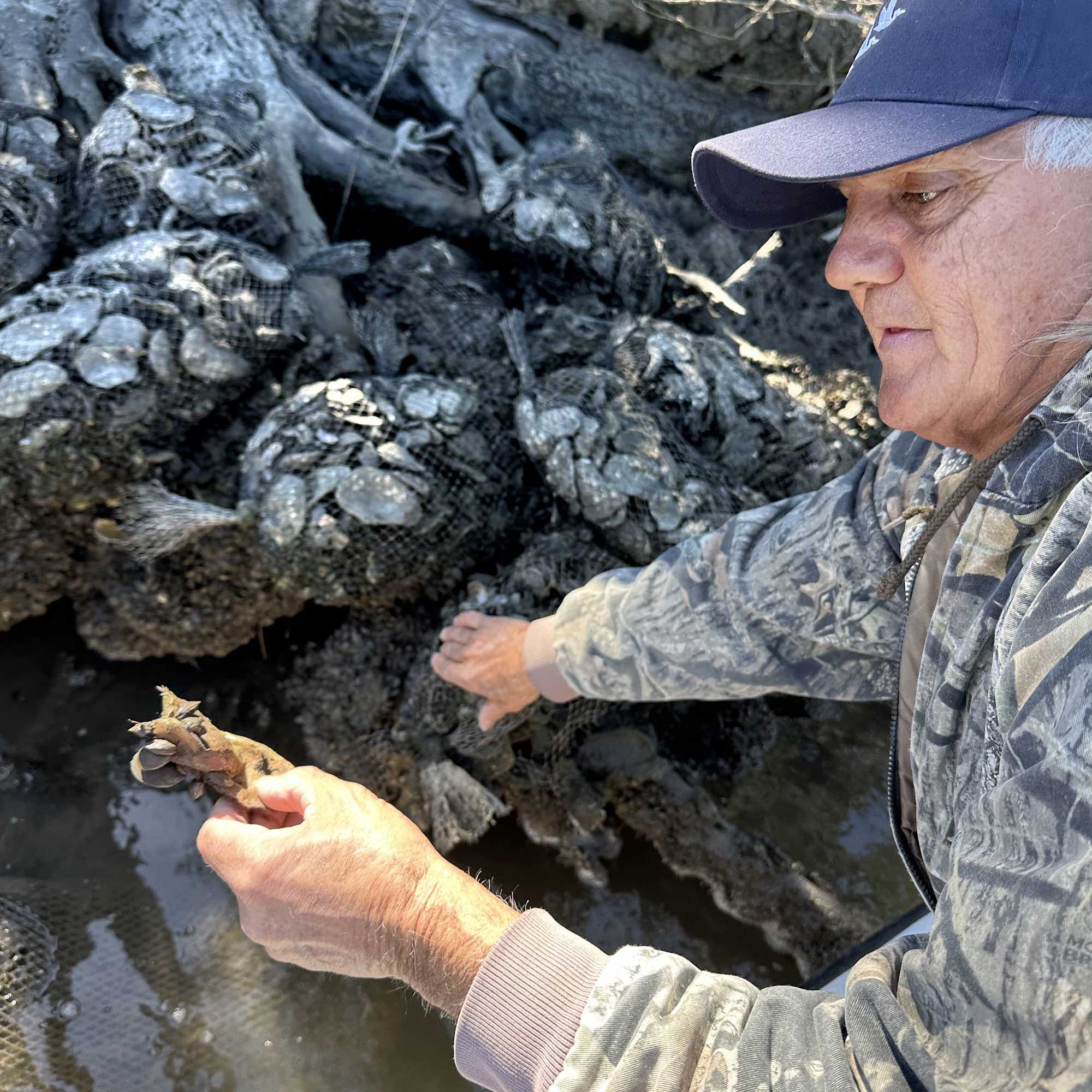 Second Chairman Donald Dardar shows an oyster shell shoreline protection reef.