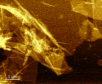 Graphene Oxide