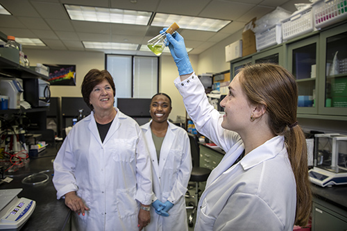 Dean Cynthia Peterson in the lab with the 2023 Beckman Scholars.