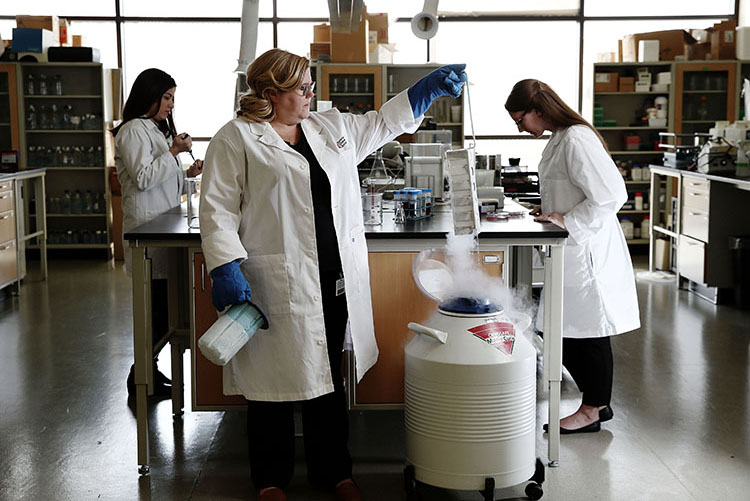 Dr. Jackie Stephens working in her lab with two students.