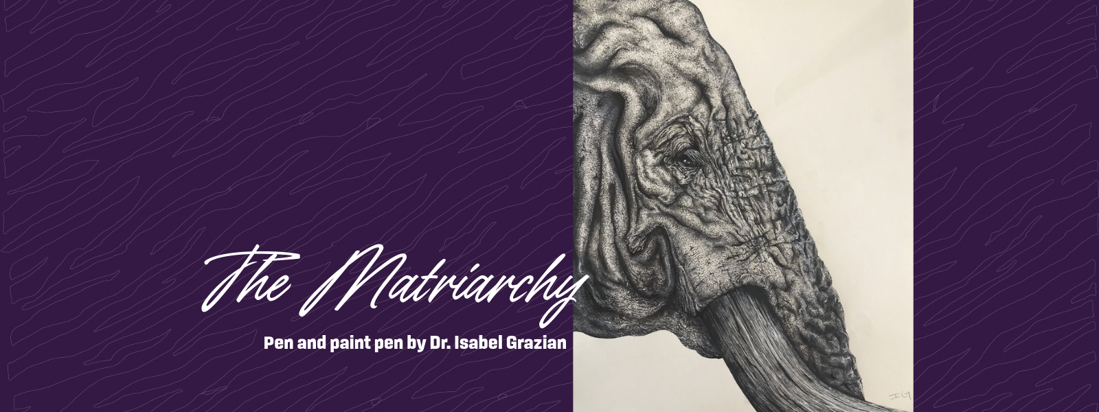 The Matriarchy, a pen drawing of an elephant head in profile
