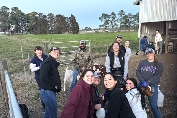 students with goats on a farm